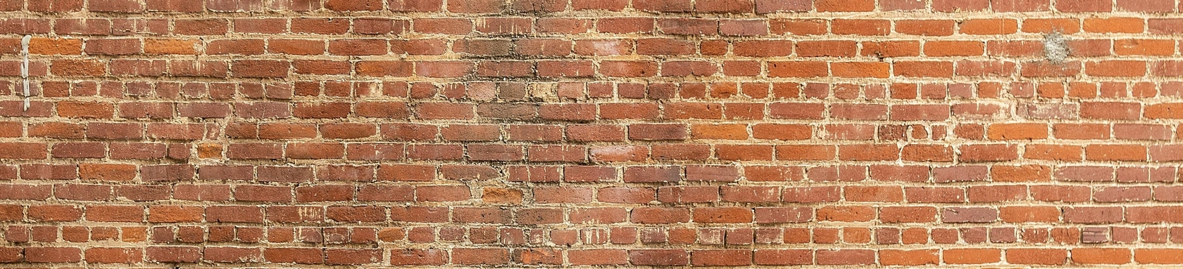 Banner 1